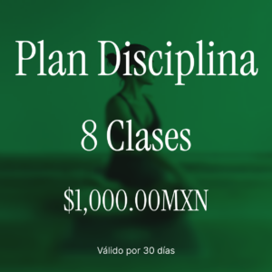 Plan Disciplina (8 Clases)